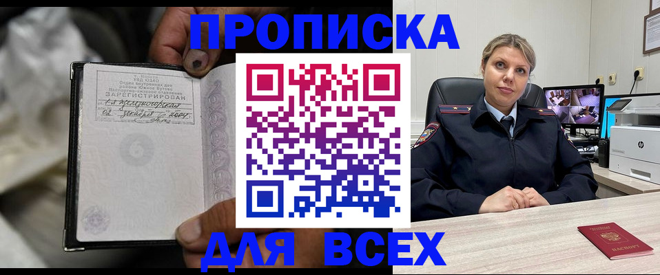 где прописаться в Нелидово